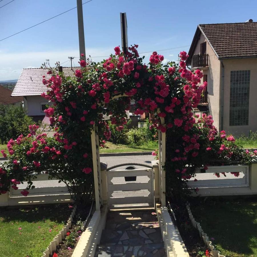 Sobe Opacak Otel Slavonski Brod Dış mekan fotoğraf